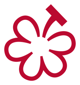 Une Grappe au Guide Michelin