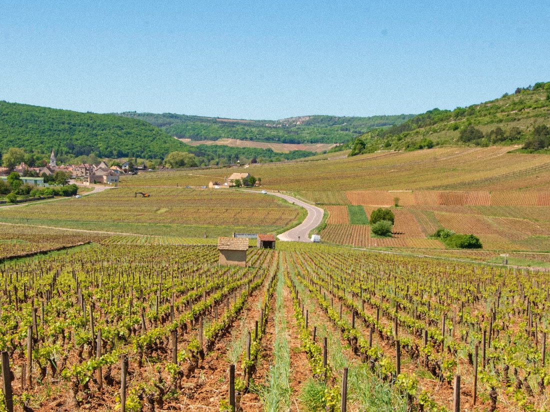 Vignobles de Bourgogne